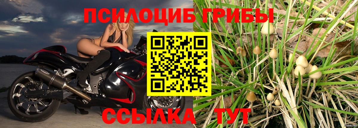 Псилоцибиновые грибы ЛСД  Псилоцибиновые грибы мицелий  Вход с VPN  купить наркотики сайты  Карасук 