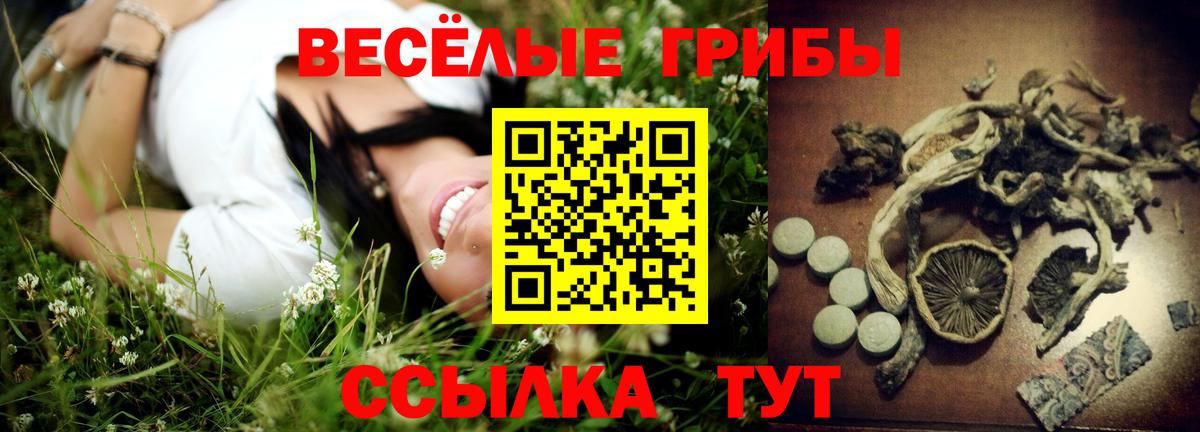 Галлюциногенные грибы GOLDEN TEACHER Карасук